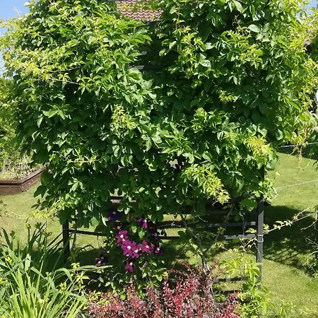 Apartmán Sloneczne Zacisze Wicko (Pomerania)