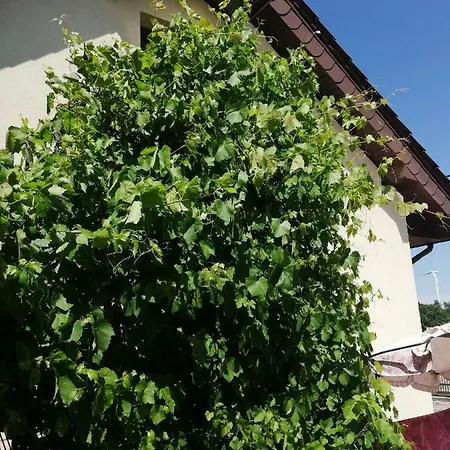 Apartment Sloneczne Zacisze *