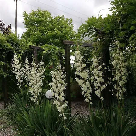 Sloneczne Zacisze Apartment Wicko (Pomerania)