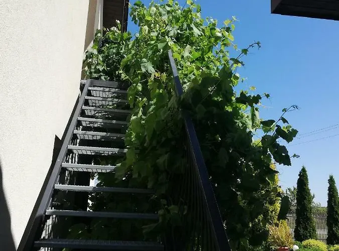 Apartmán Sloneczne Zacisze Wicko (Pomerania)