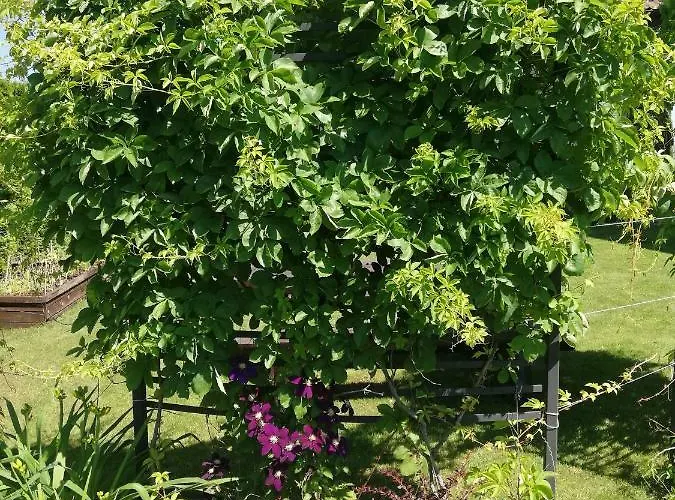 Apartmán Sloneczne Zacisze Wicko (Pomerania)