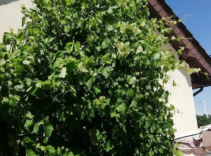 Apartmán Sloneczne Zacisze *