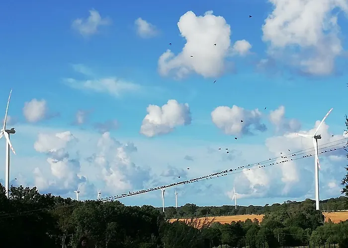 Sloneczne Zacisze Daire *