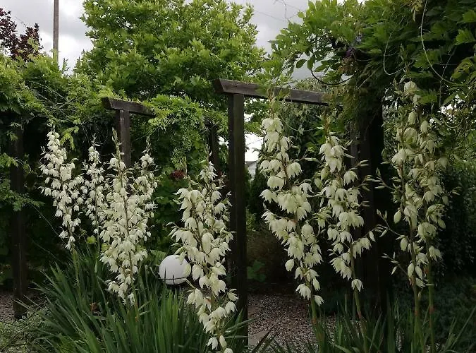 Sloneczne Zacisze Apartmán Wicko (Pomerania)